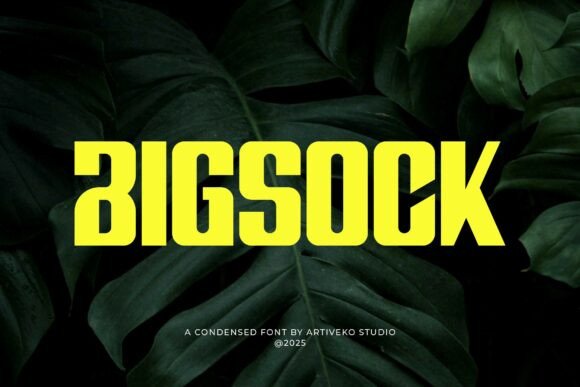 Bigsock: A Bold Sans Serif for Confident Branding