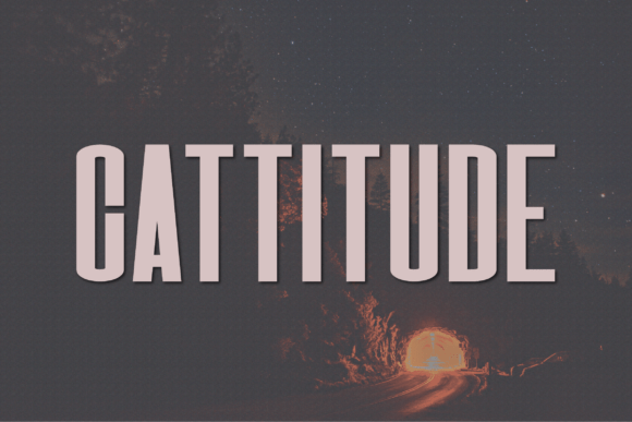 Cattitude: A Modern Classy Sans Serif Typeface