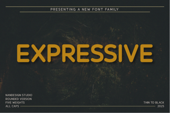 Expressive Rounded: A Modern Sans Serif for Editorial Design