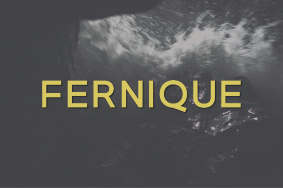 Fernique: A Modern Classy Sans Serif Typeface for Brands
