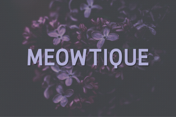 Meowtique: A Modern Sans Serif Typeface for Makers