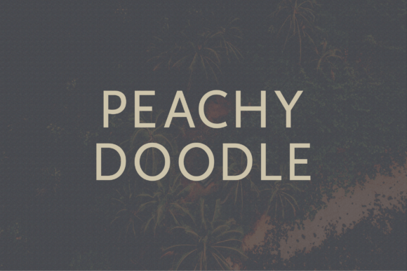Peachy Doodle: A Modern Sans Serif Typeface for Editors