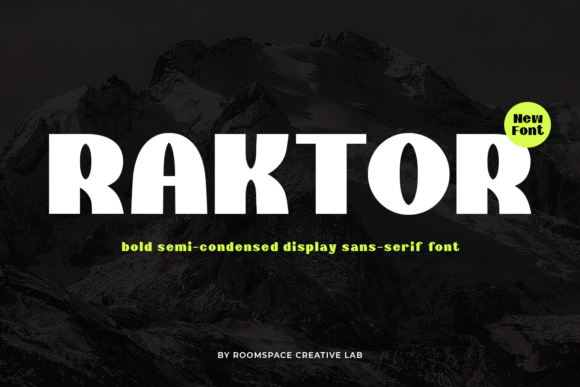 Raktor: The Bold Sans Serif Font for Business Branding