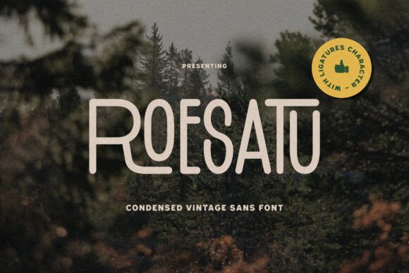 Roesatu: A Vintage Sans Serif Font for Web Design