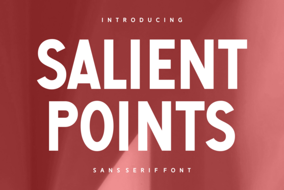 Salient Points: A Modern Sans Serif Font for Business