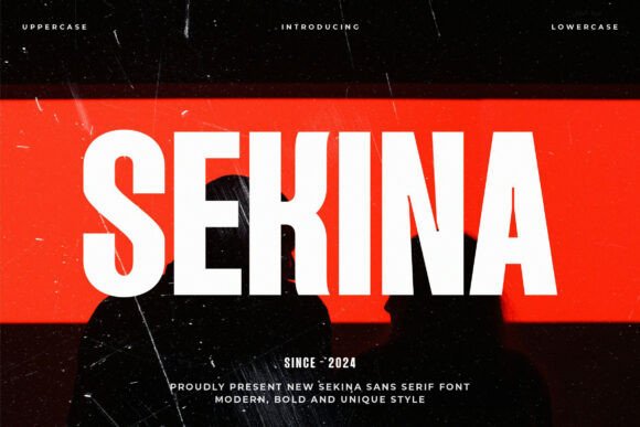 Sekina: A Modern Sans Serif Font for Editorial Design