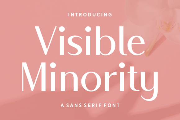 Visible Minority: A Refined Sans Serif Font for Web Design